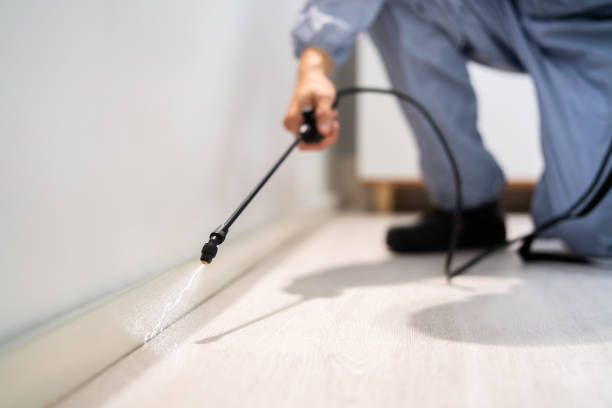 Licensed Pest Control service in Glassport, PA - Show Me Pest Control