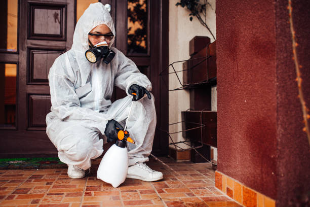 Attic and Crawl Space Rodent Treatment in Glassport
