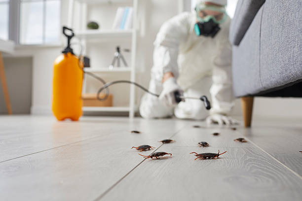 Commercial Rodent Management in Glassport